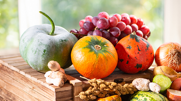 artificial fruit & vegetables