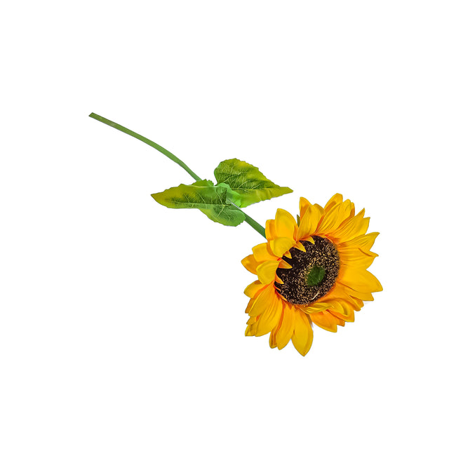 Sunflower 1m