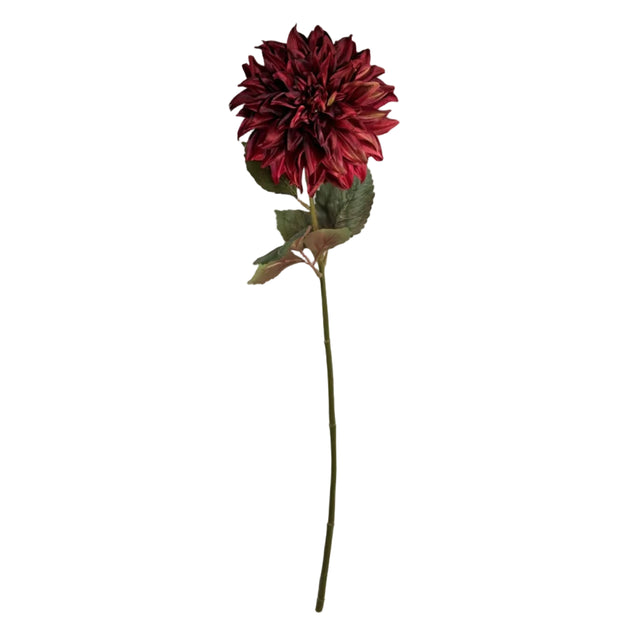 Dahlia Burgundy 16x73cm