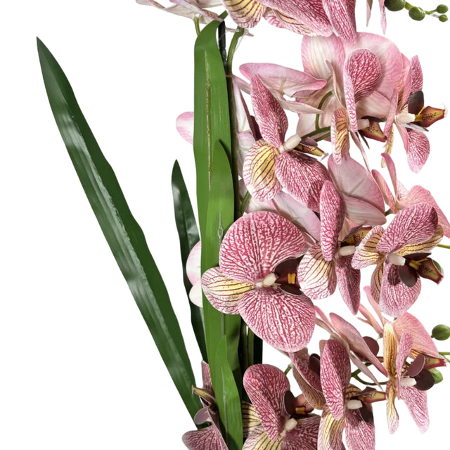 Purple orchid in white pot 72cm