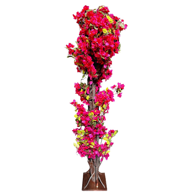 Bougainvillea tree 220cm - Pink