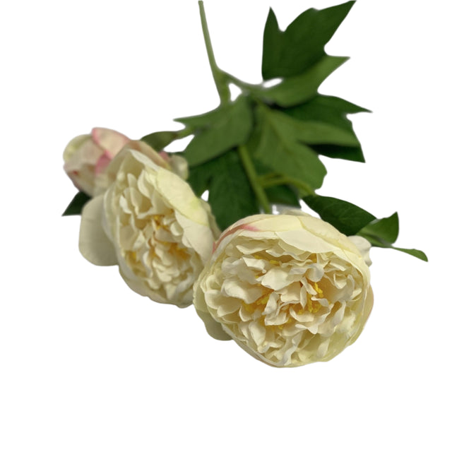 Open Peony White 65cm