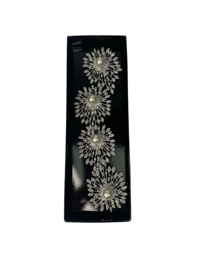 Silver Napkin Ring Set/4