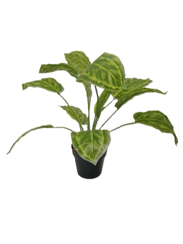 Artificial Plant 10X8X30cm Chinese Evergreen L/Green