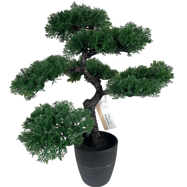 (317220120-3)BONSAI TREE IN POT 50CM