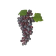 Light Purple 85 Head Artificial Grape Bunch