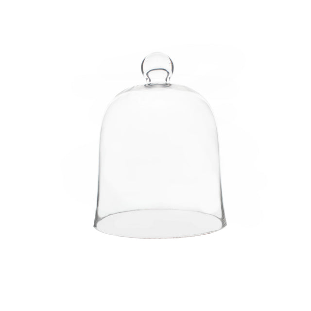 Glass Dome 40X30Cm