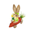 Rabbit In Carrot Car - Grass Bunny Girl