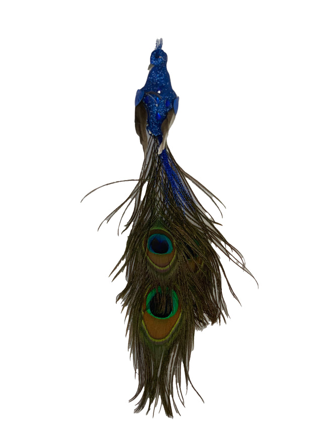 Decoration Peacock