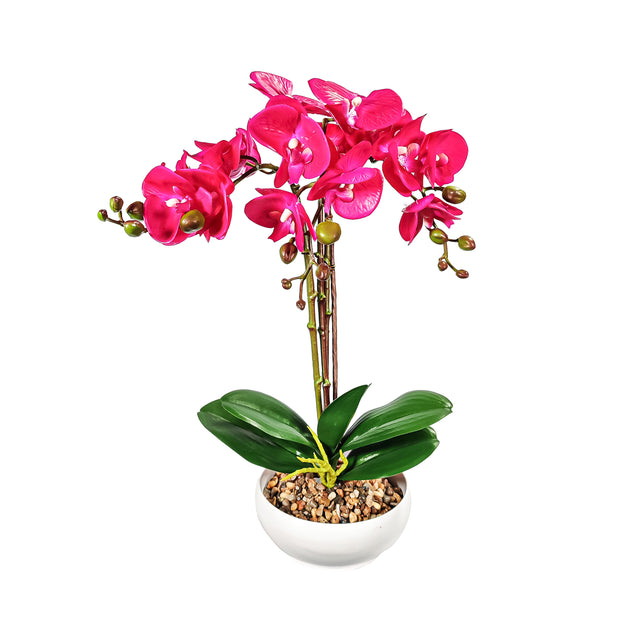 Artificial Phalaenopsis In Pot - Cerise