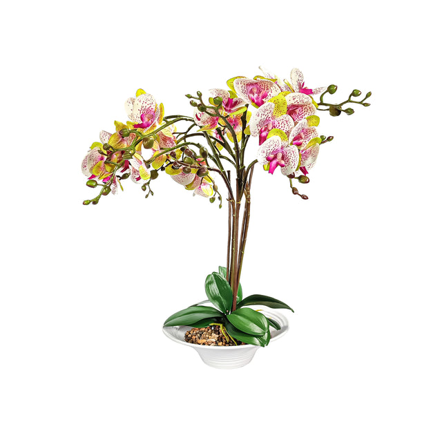 Artificial Phalaenopsis in White Pot - Pink/Yellow