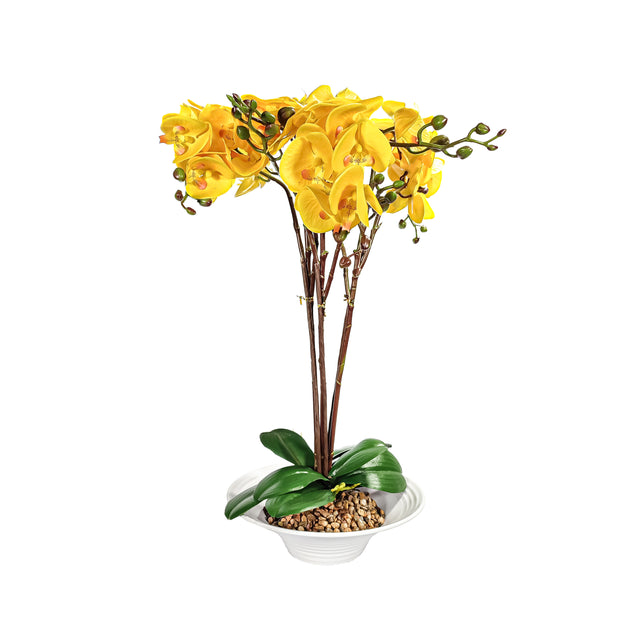 Artificial Phalaenopsis In White Pot - Yellow