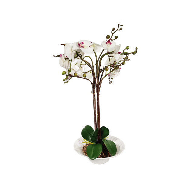 Artificial Phalaenopsis in White Pot - White