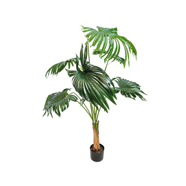 Artificial California Palmetto Tree In Pot 1.6M 8 Leaves