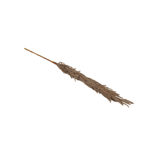 Artificial Pampas On Stem - Brown 80cm