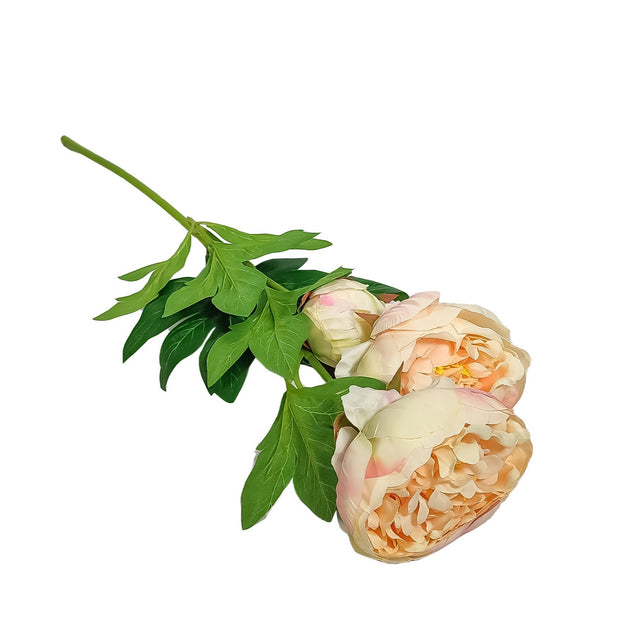 Peony Roses - Peach Decor