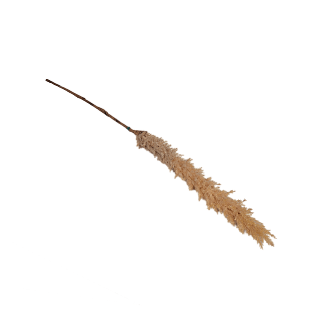 Artificial Pampas Grass Light Brown 130cm