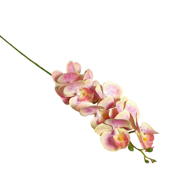 Orchid 100cm Peach Pink