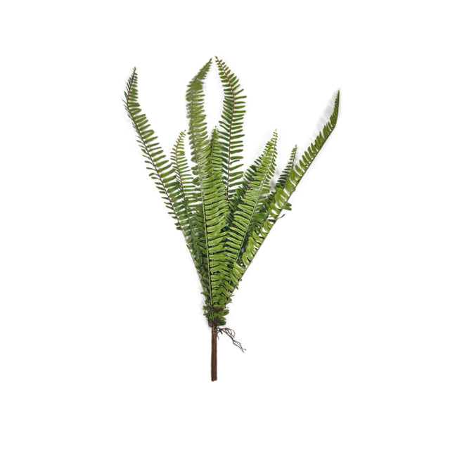 Fern (Green) (Artificial) Set Of 10 Stems