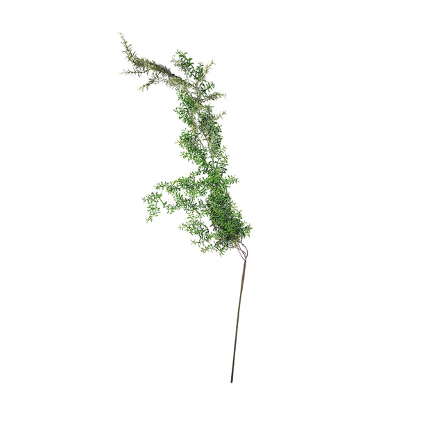 Fine Fern Stem (Artificial) Size: 90cm