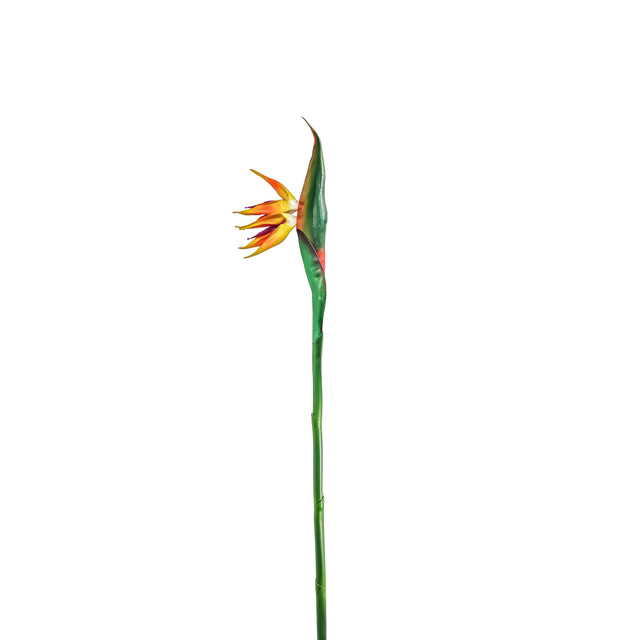 Artificial Yellow Strelitzia 104cm