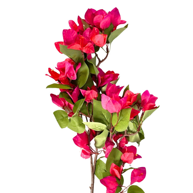 Bougainvillea Stem 83cm - D/Pink
