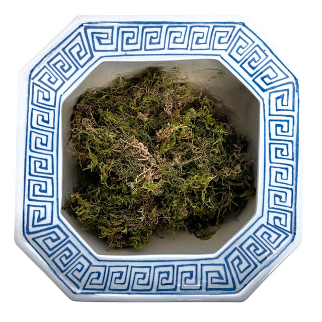 Ceramic flowerpot 19x25cm