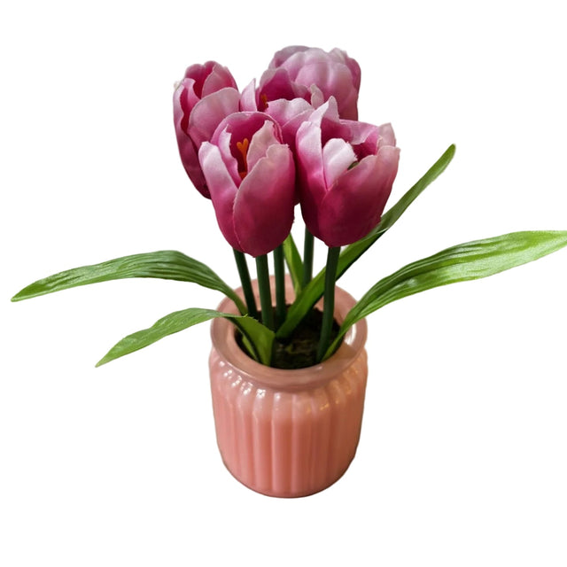 Tulip 21cm in glass pot 7x9cm - pink