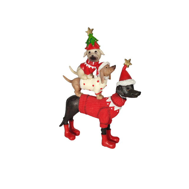 Christmas cute dogs in fancy dress and hats.