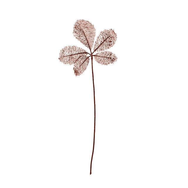 Leaf Spray On Stem 2 Assorted Brown 2X28X78Cm