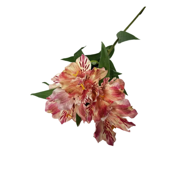 Single Peruvian lily 20x20x80cm - Light pink