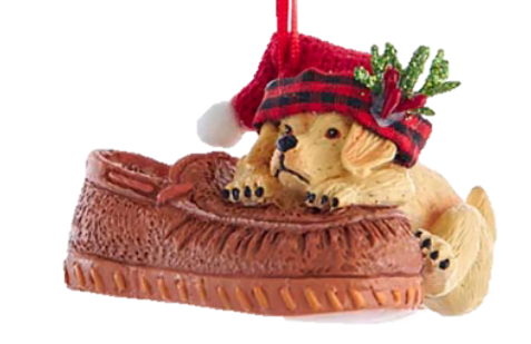 Resin Dog On Shoe