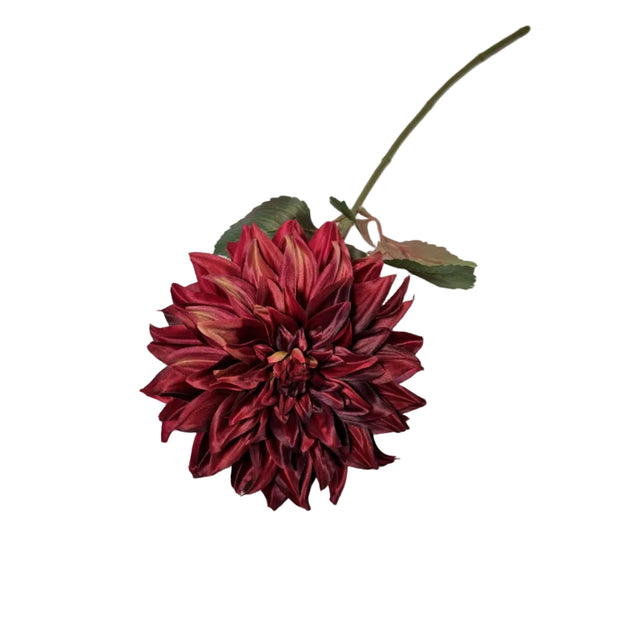 Dahlia Burgundy 16x73cm
