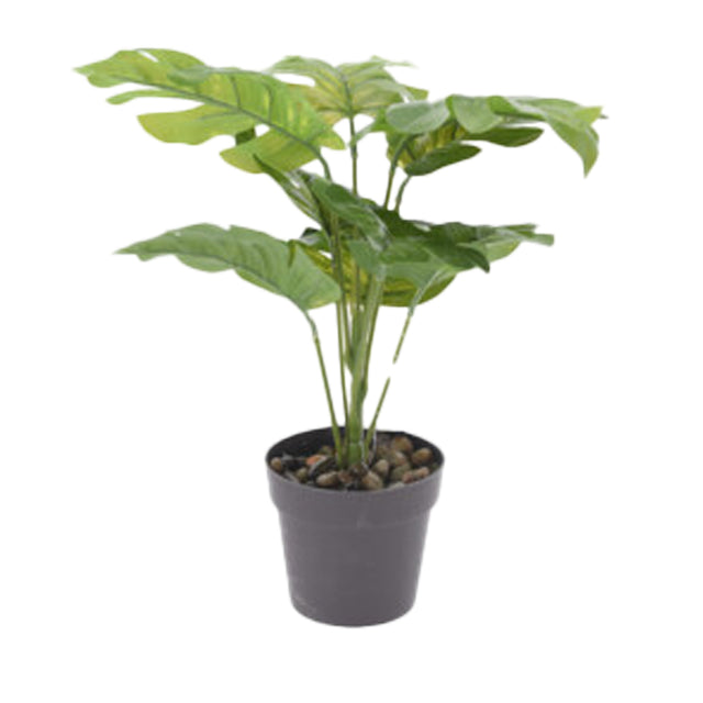 Delicious Monster Artificial Plant 30cm