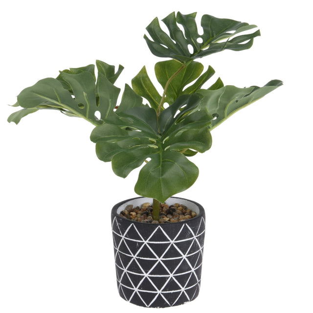 Monstera Plant (Artificial) In Cement Pot