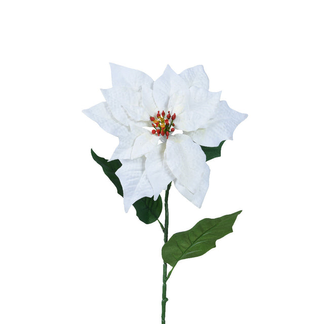 Poinsettia 22X23X67Cm - White