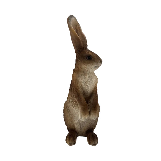 Rabbit Standing