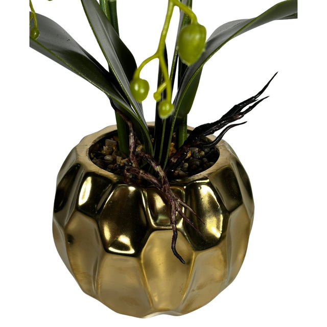 Orchid in Pot 65cm Pink