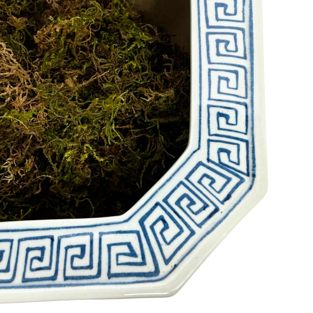 Ceramic flowerpot 19x25cm