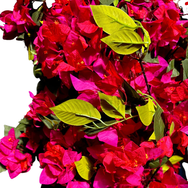 Bougainvillea tree 220cm - Pink