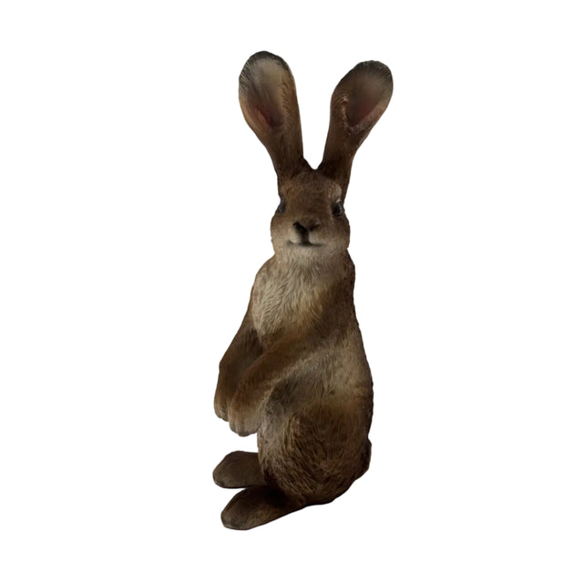Rabbit Standing