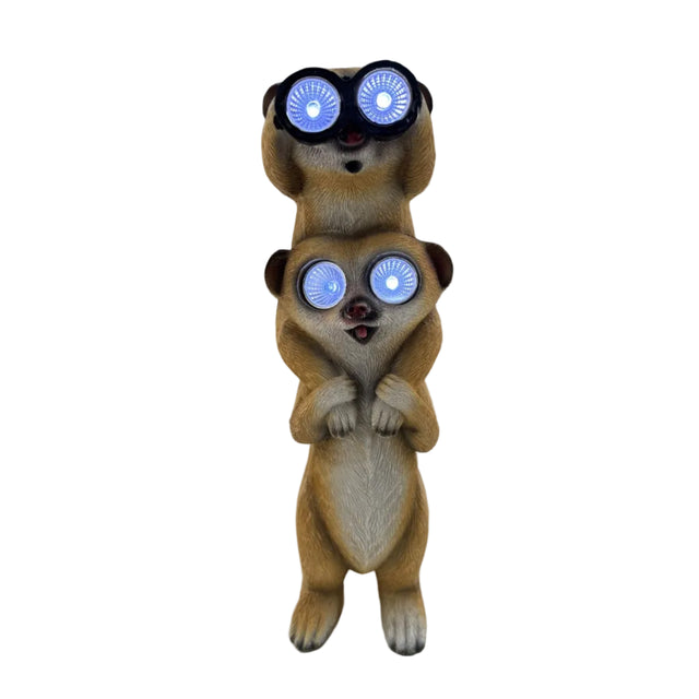 Solar Two Meerkats With Binoculars 28cm