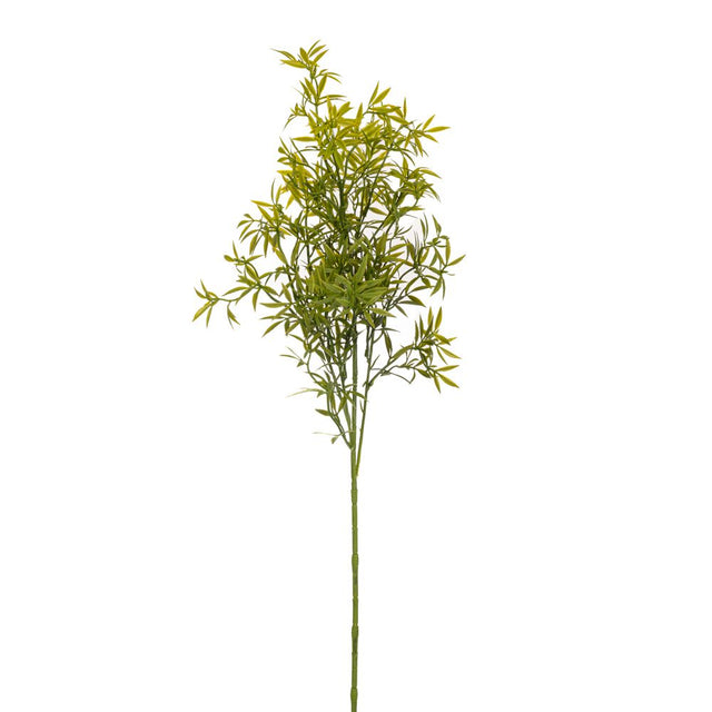 Asparagus branch 72cm
