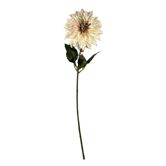 Dahlia White 16x73cm