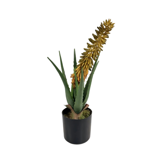 Artificial Aloe Pot Plant 45Cm