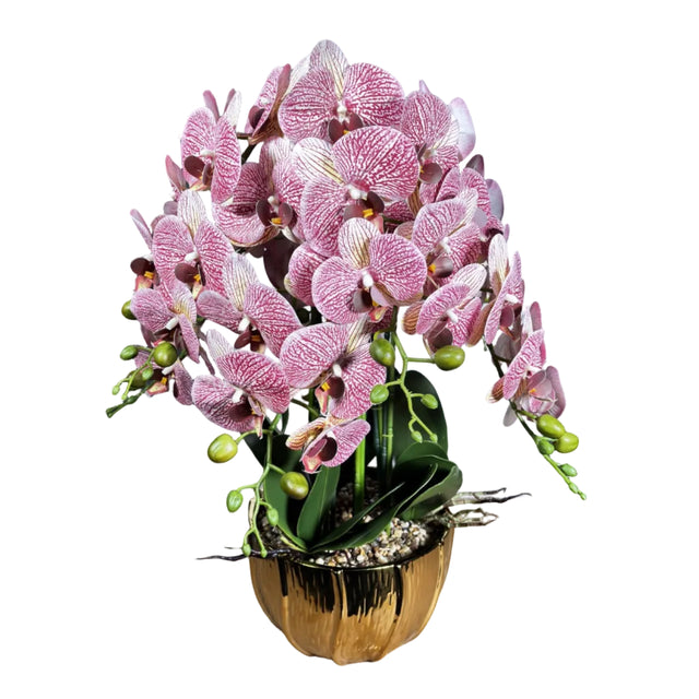Purple orchid in gold pot 72cm