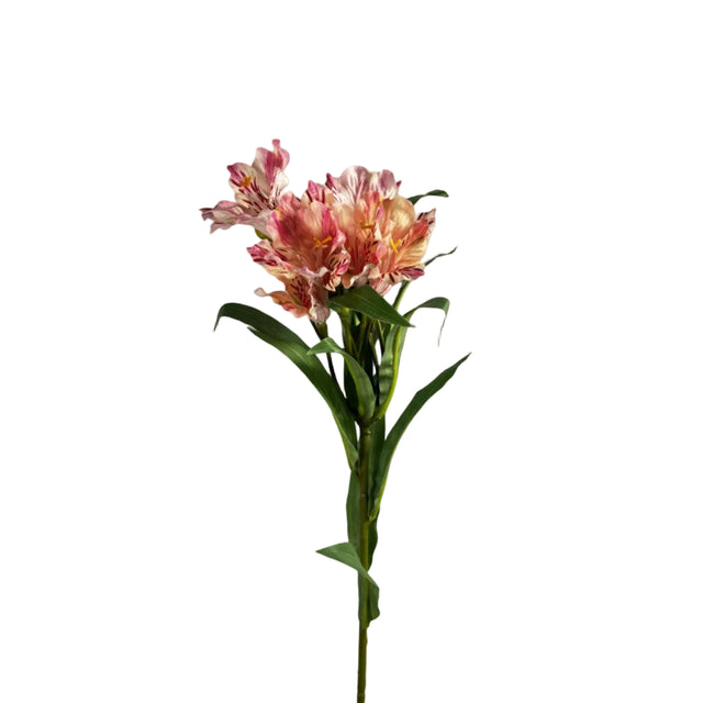 Single Peruvian lily 20x20x80cm - Light pink