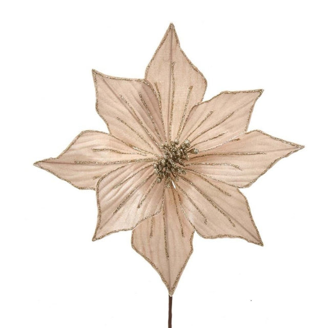 14 Inch Champagne Velvet Poinsettia