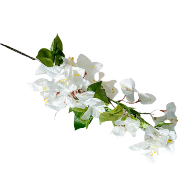 Bougainvillaea Stem 88cm - White