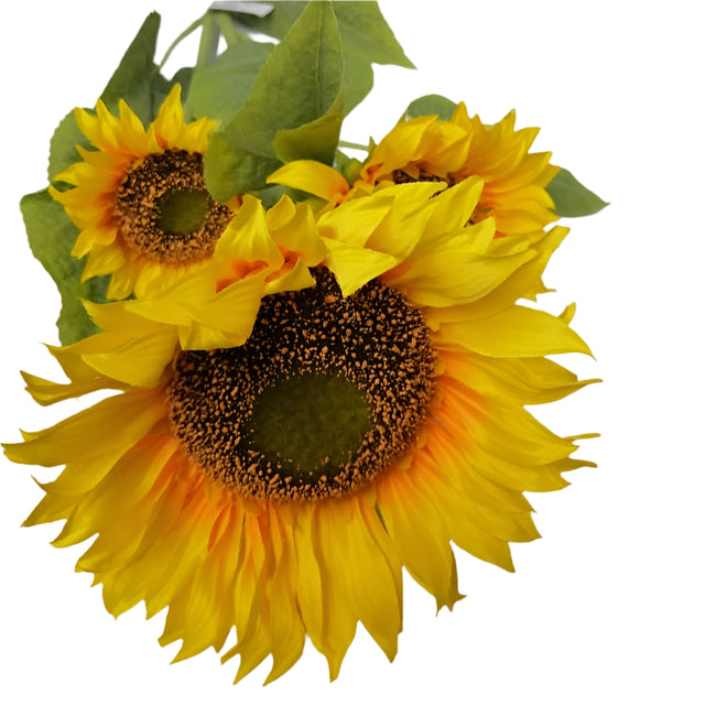 Sunflower 3 Head 1.1M